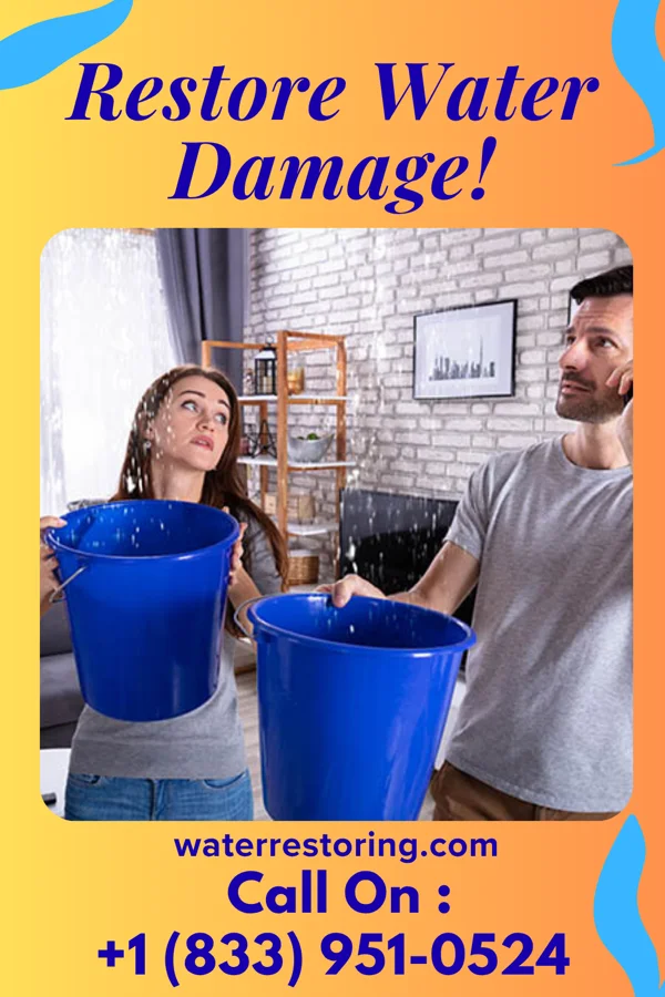water restoration Ideal Flood Mitigation Inc Rosemount