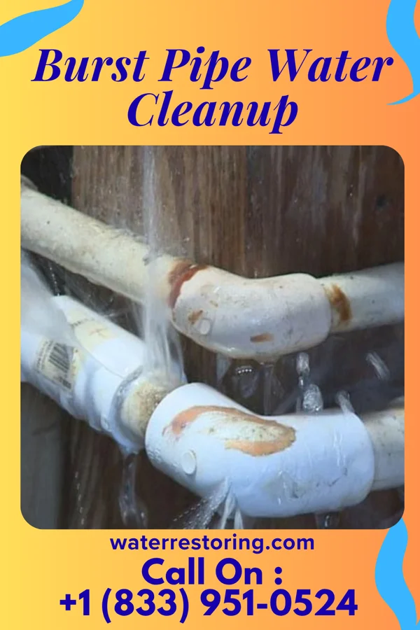 Burst Pipe Water Cleanup in Rosemount, MN