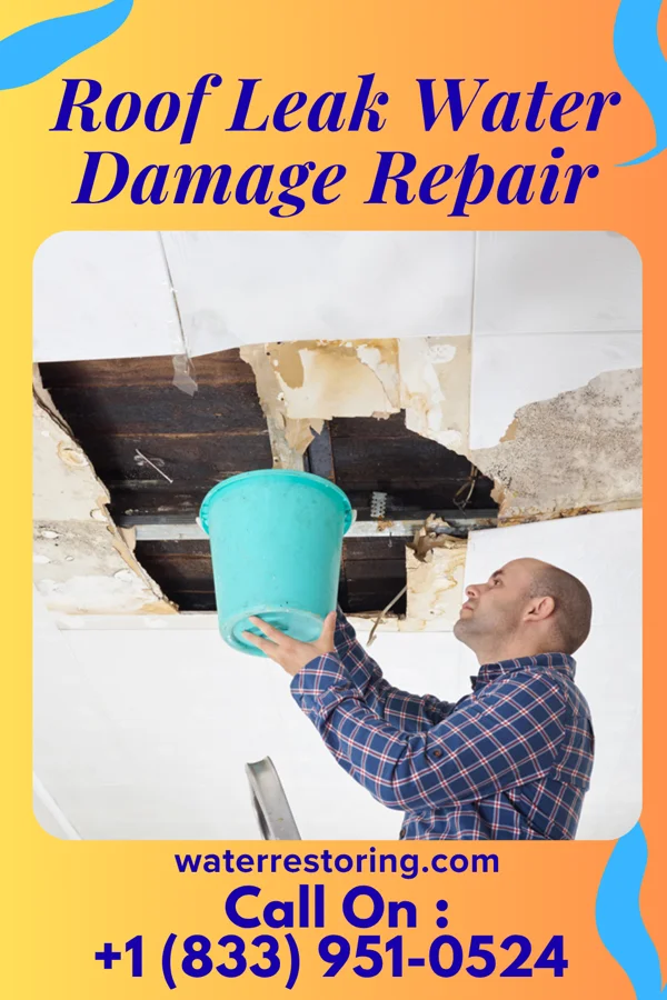 Roof Leak Water Damage Repair in Rosemount, MN
